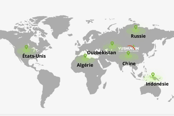 Filiales mondiales du fabricant d'équipements d'engrais YUSHUNXIN