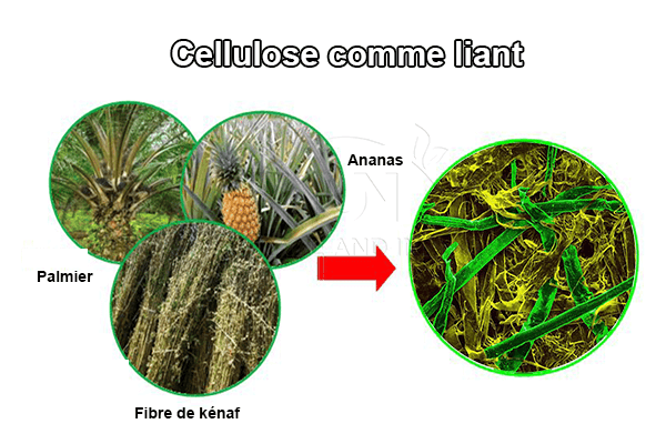 La cellulose comme liant d'engrais granulaire