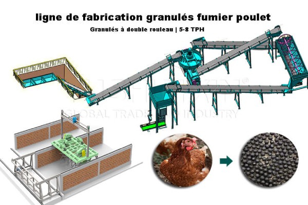Ligne de granulés de fumier poulet à double rouleau
