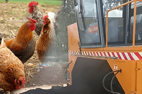 Ligne de production d'engrais en poudre pour la gestion du fumier de poulet