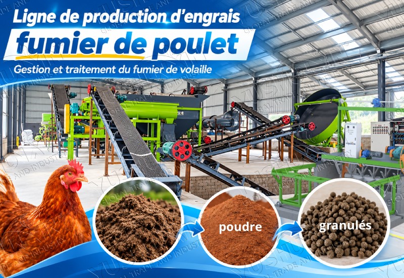 Ligne de production d’engrais fumier de poulet