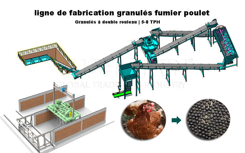 Ligne de granulés de fumier de poulet à double rouleau