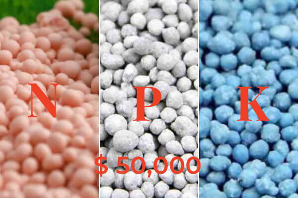 Plans de production d'engrais NPK à 50000 $