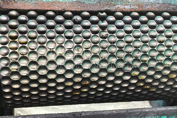 Rouleau presse granulateur feuille pour la fabrication de granulés d'engrais phosphorés de 8 mm